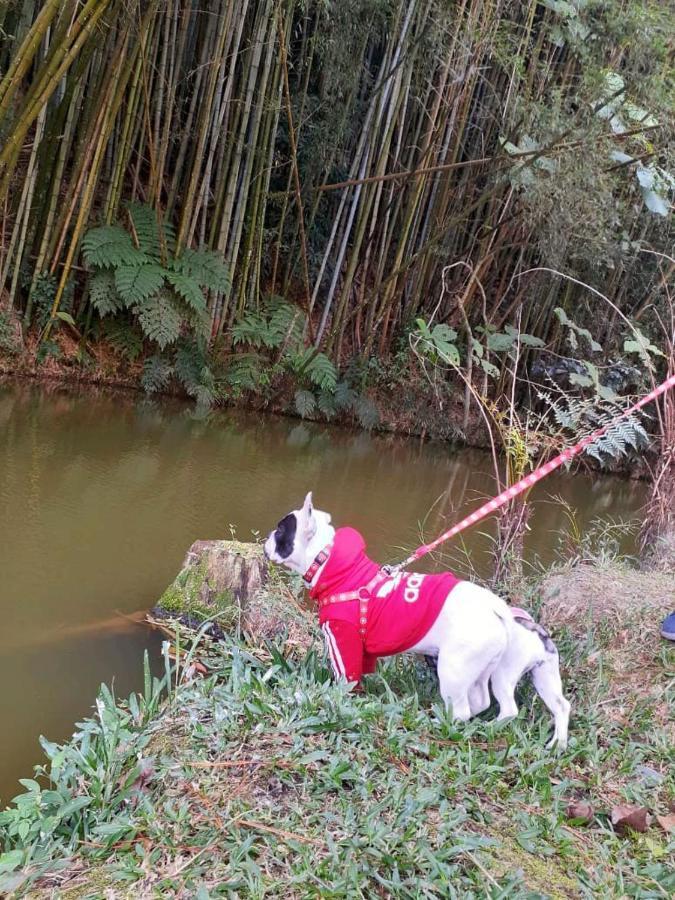 Pousada Green Valley São Roque エクステリア 写真
